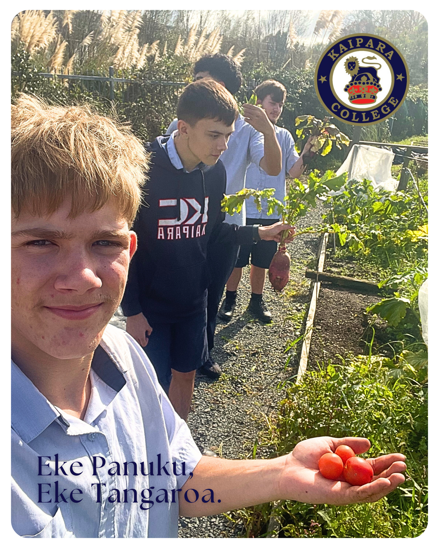05052025 Yr11 Hort Garden News P2