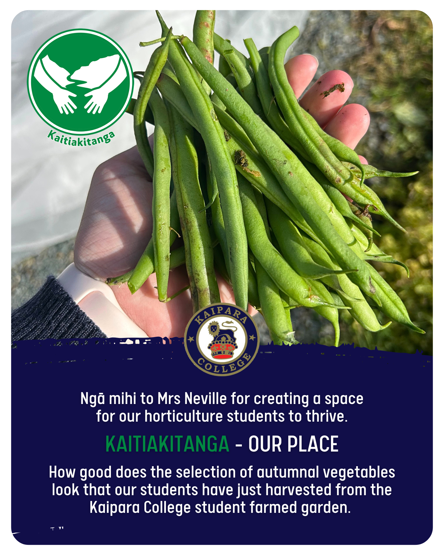 05052025 Yr11 Hort Garden News P3